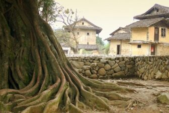 Village of Changjiao 长教村