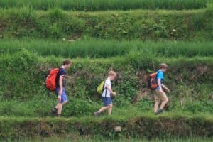 Avis groupe Pasture Chine