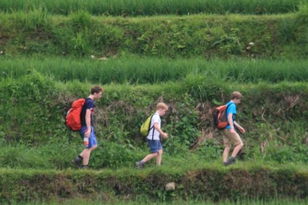 Avis groupe Pasture Chine