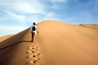 Korla and the Taklamakan desert - 庫爾勒 - 塔克拉玛干沙漠