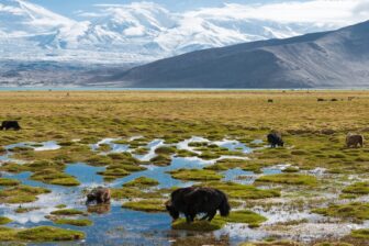 Karakul Lake - 喀拉库勒湖