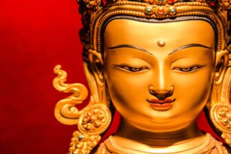 Qinghai Museum - 青海省博物馆